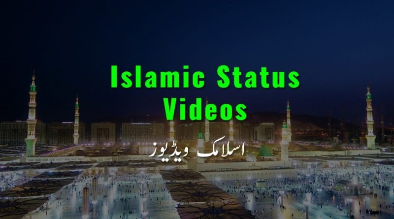Latest Best Islamic Whatsapp Status video download